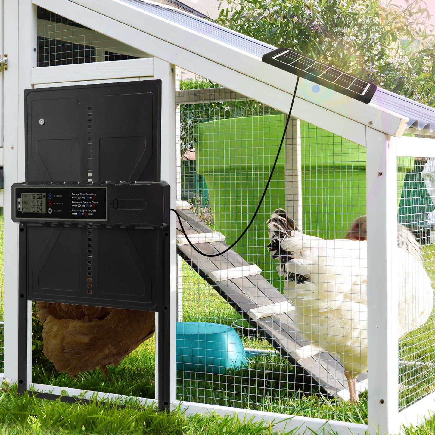 Elektrische Hühnerklappe Solar mit LED Display und Fernbedienung