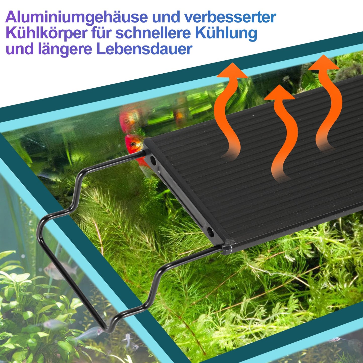 LED Aquarium Beleuchtung Weiß Blau Licht