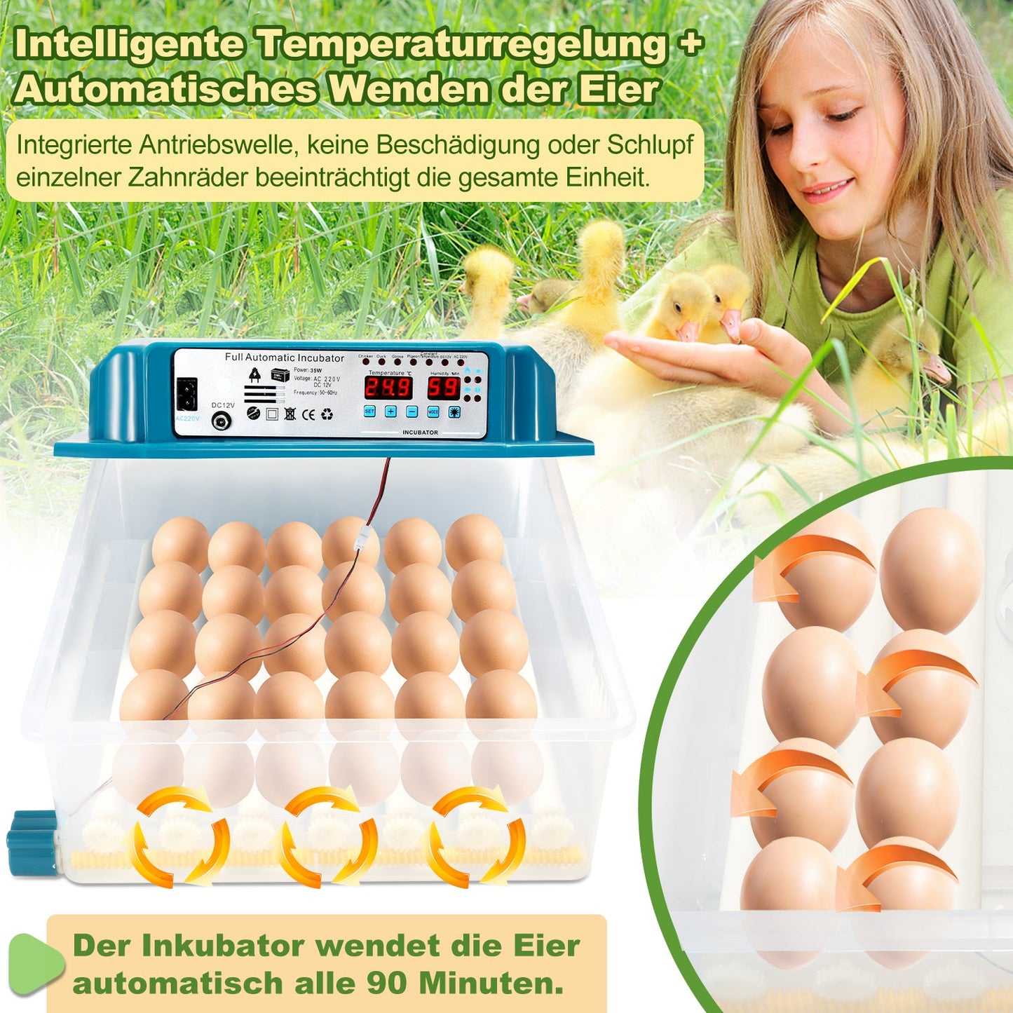 Brutautomat Vollautomatisch Inkubator für Hühner 36 Eier