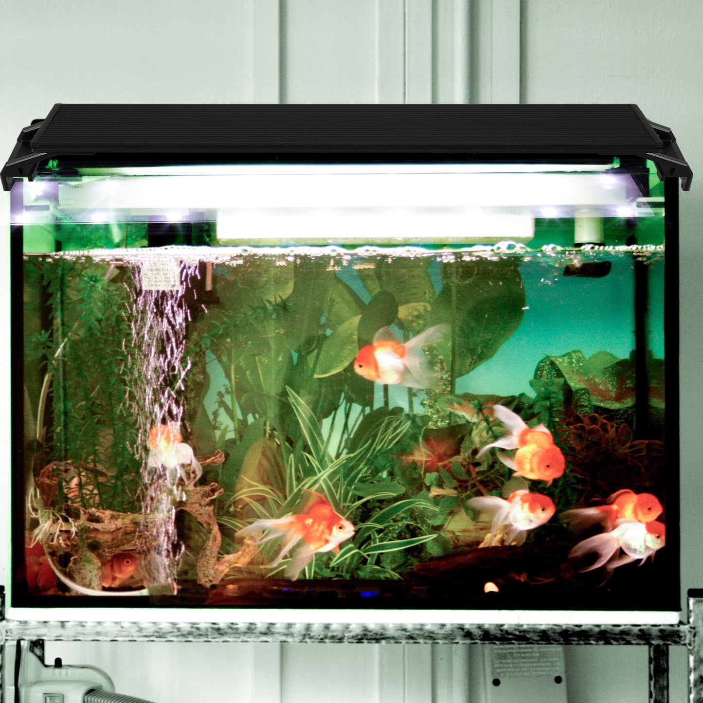 LED Aquarium Beleuchtung Weiß Blau Licht