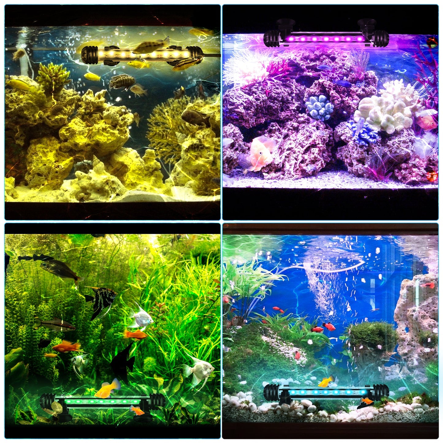 LED Aquarium Beleuchtung RGB Wasserdicht