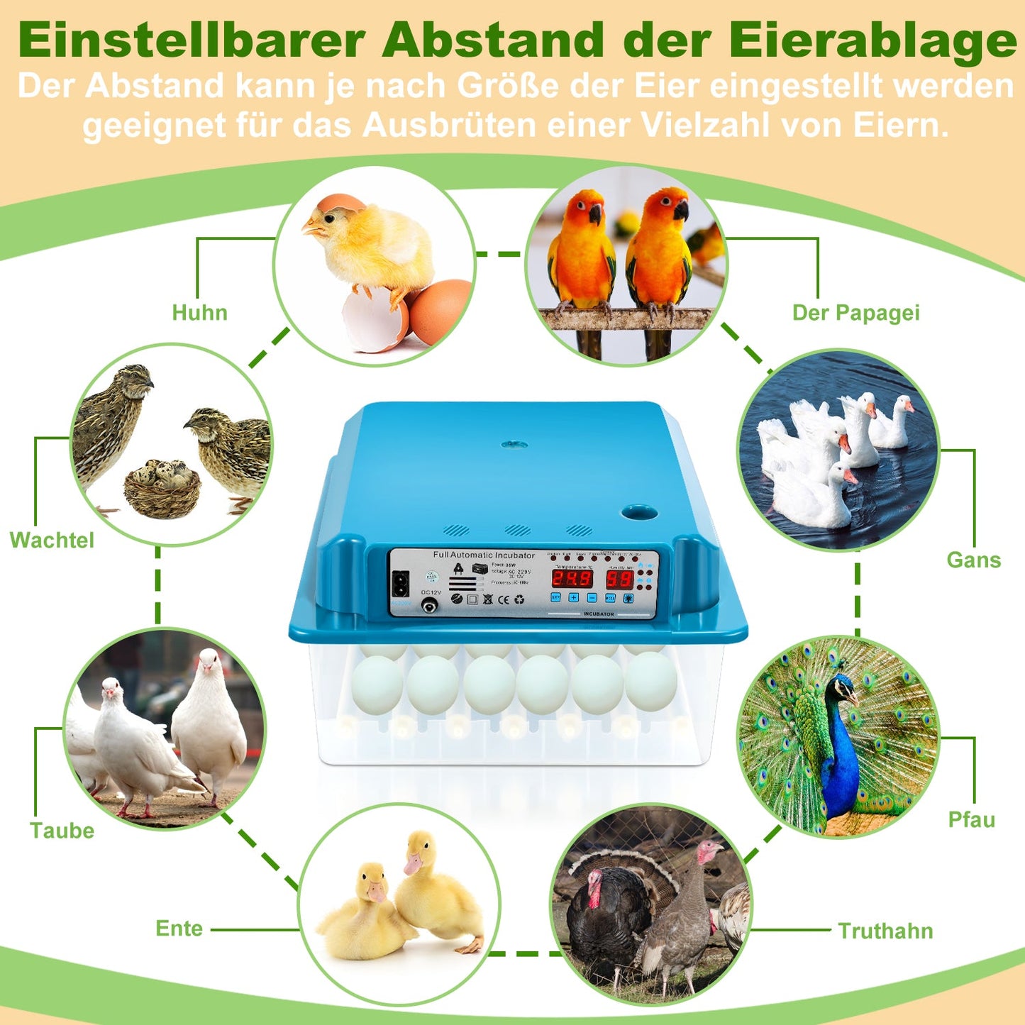 Brutautomat Vollautomatisch Inkubator für Hühner 36 Eier