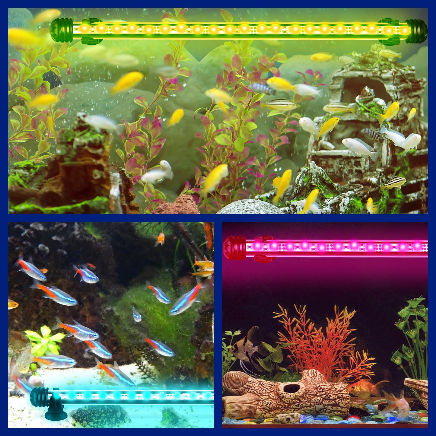 LED Aquarium Beleuchtung IP67 RGB Timing-Funktion