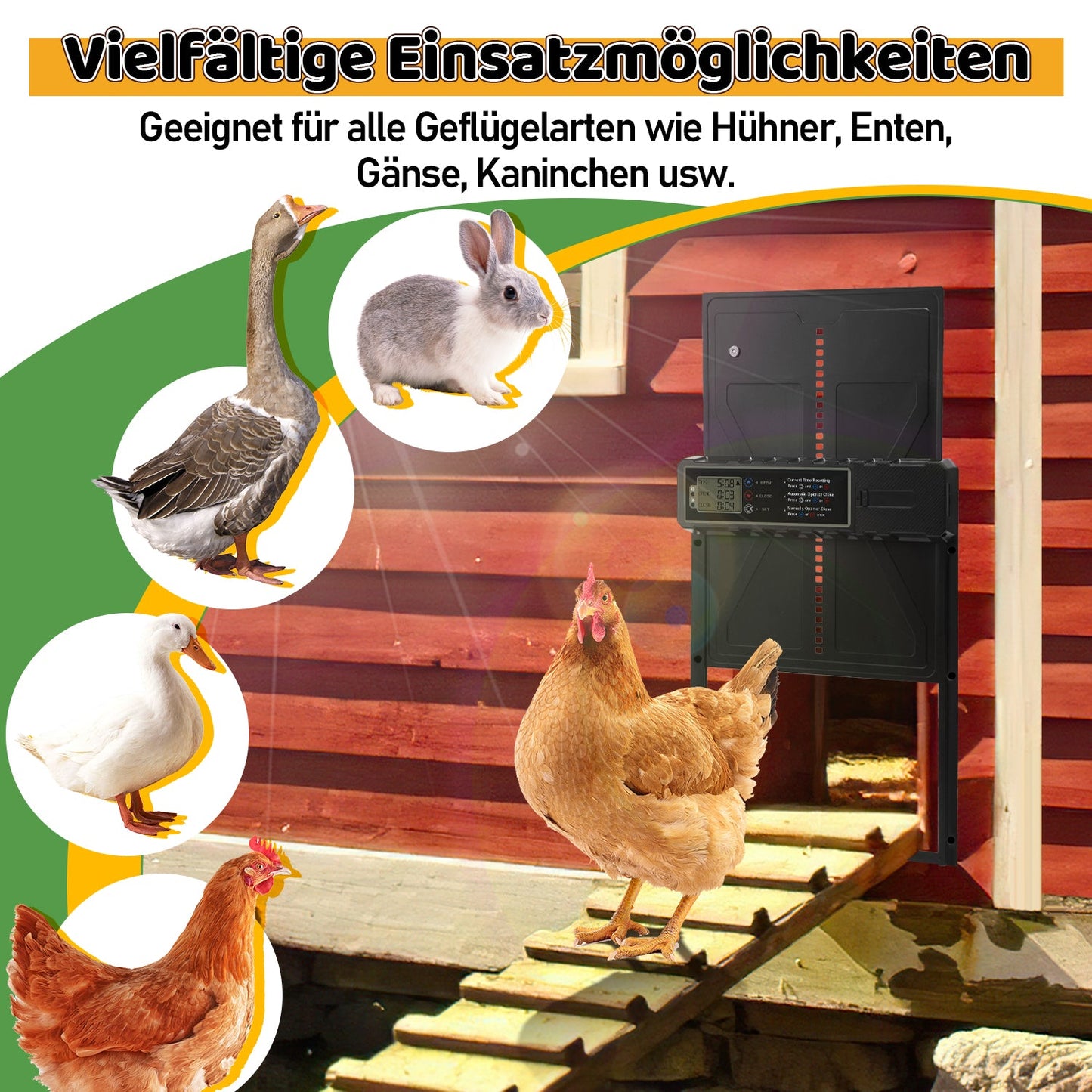 Elektrische Hühnerklappe Solar mit LED Display und Fernbedienung