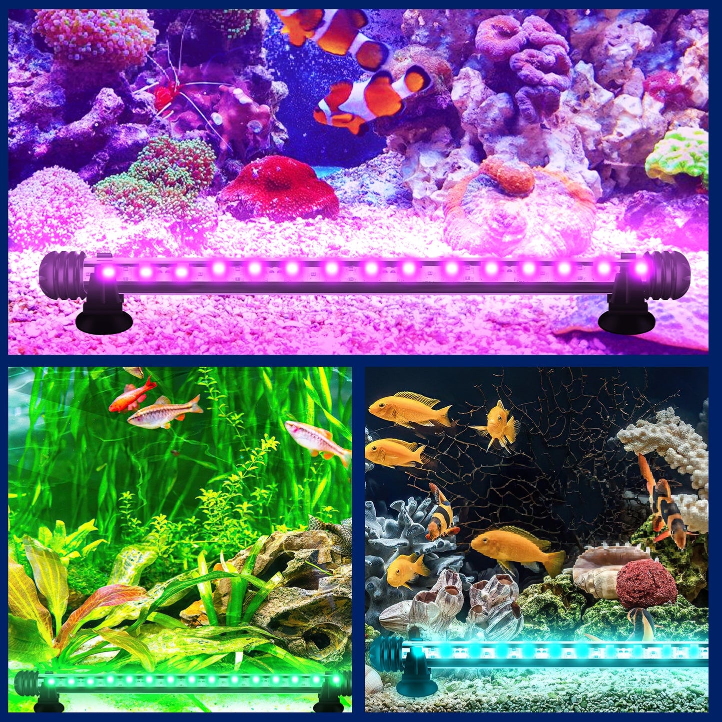 LED Aquarium Beleuchtung IP67 RGB Timing-Funktion