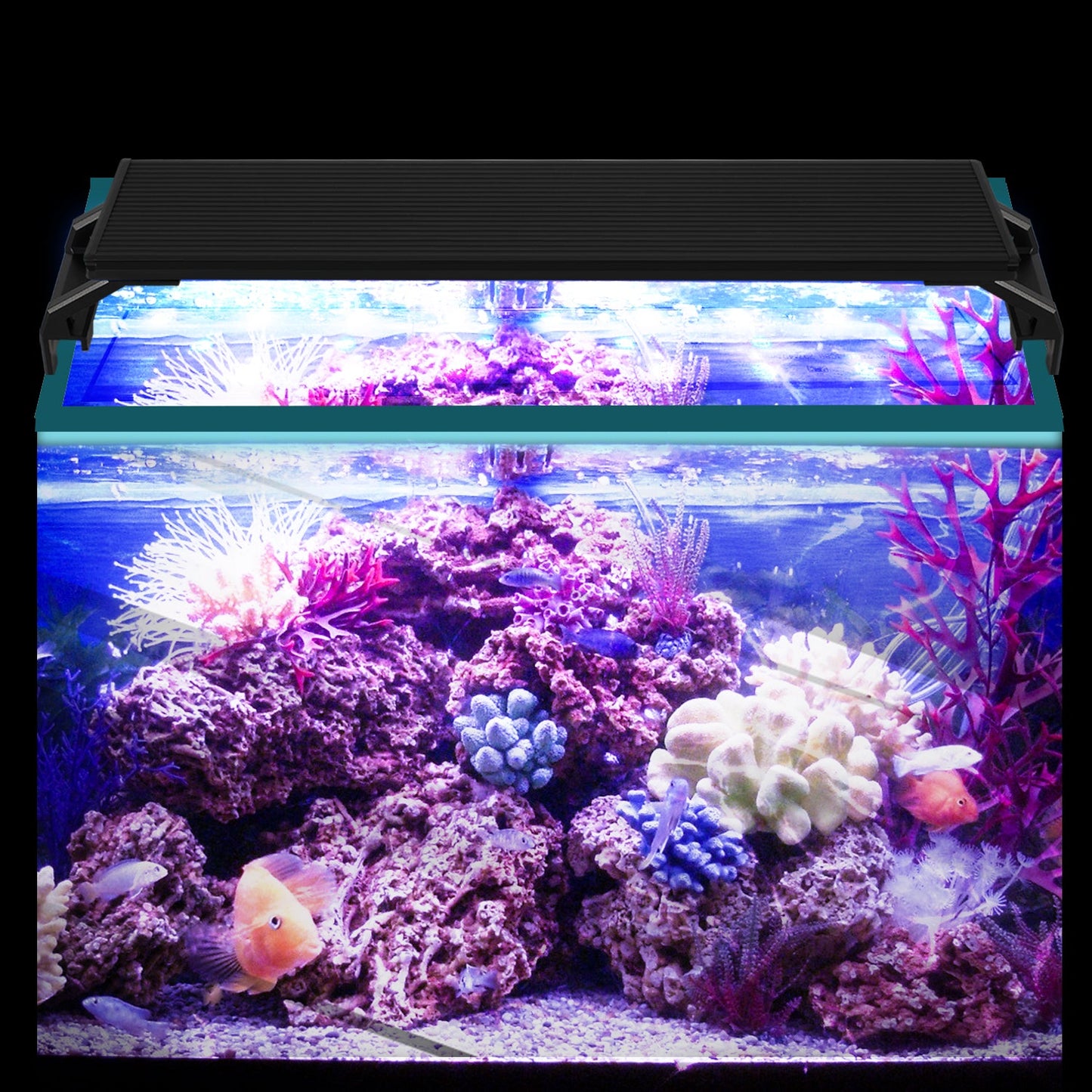 LED Aquarium Beleuchtung Weiß Blau Licht