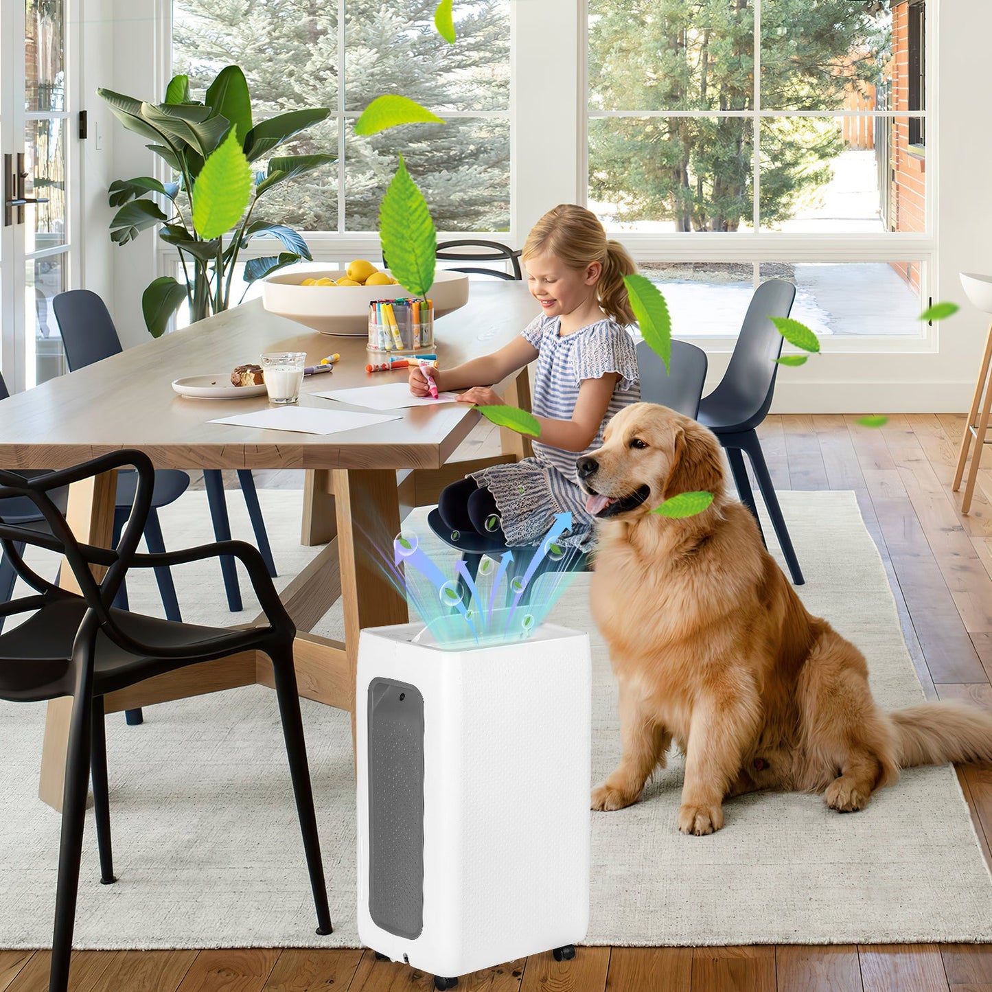 Luftentfeuchter 26L mit Timerfunktion, Wäschetrockungsfunktion, Abtaufunktion