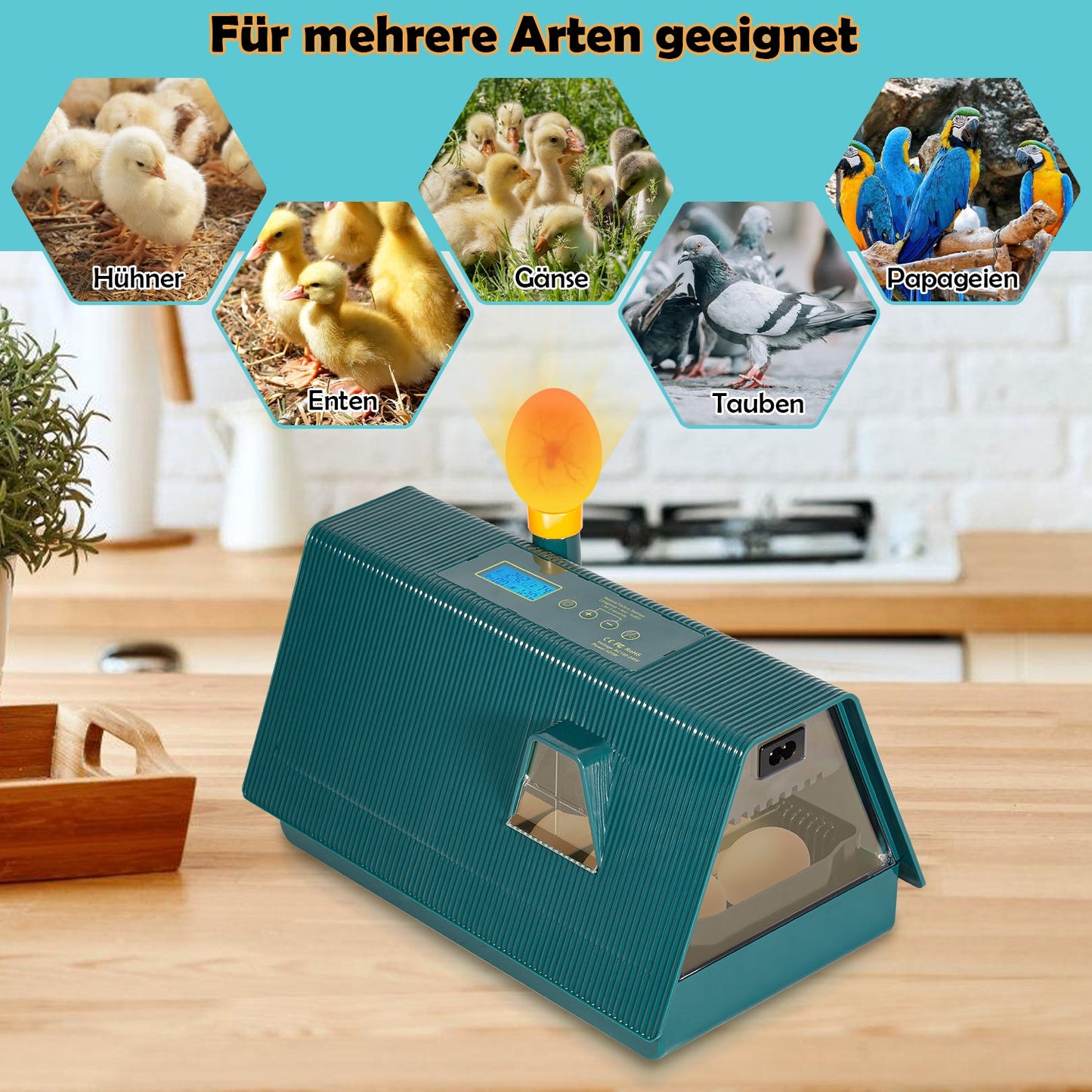 Brutmaschine Inkubator automatik fur 10 Hühnereier