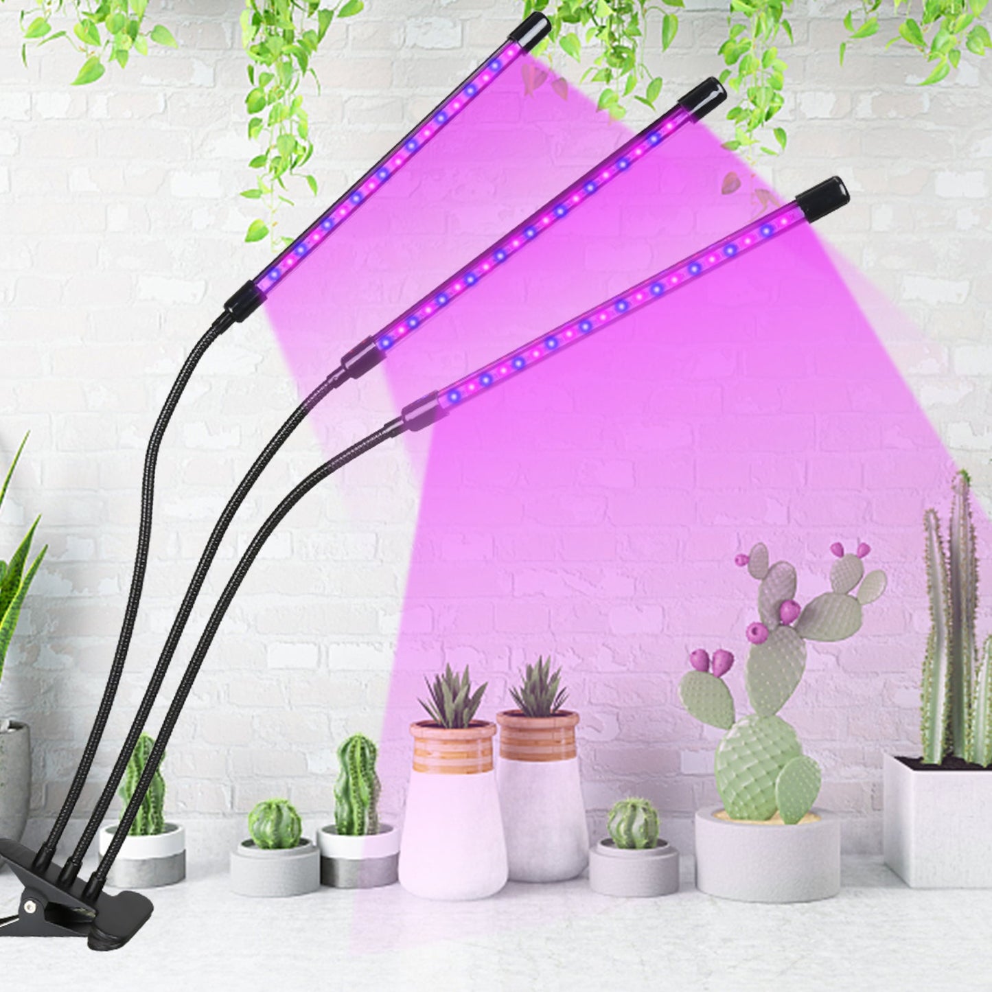 LED Pflanzenlampe Vollspektrum 30W/40W