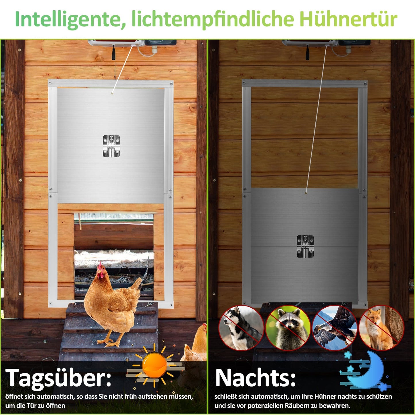 Automatische Hühnerklappe mit Lichtsensor, Zeitschaltuhr, LED Display