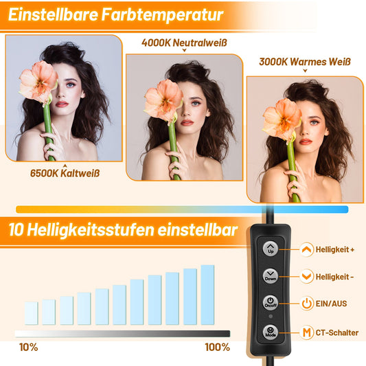 10 Zoll Ringlicht Dimmbare mit Stativ