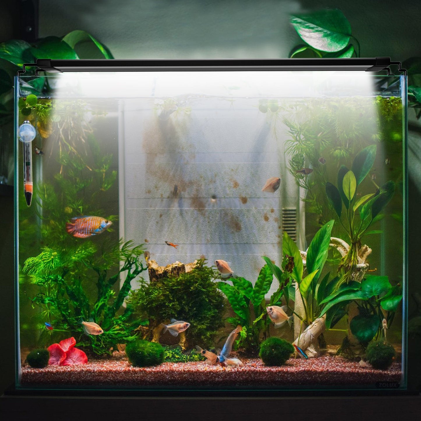 LED Aquarium Beleuchtung  24/7 Modus mit Zeitschaltung