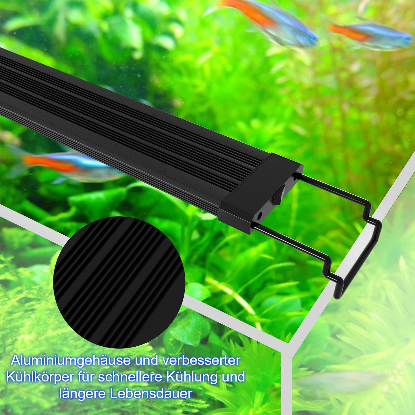 LED Aquarium Beleuchtung  24/7 Modus mit Zeitschaltung